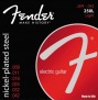 Fender