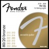 Fender