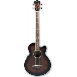Ibanez AEB 10E