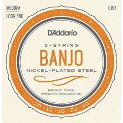 D´Addario Banjo EJ61