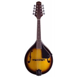 Mandolína Stagg M40 S