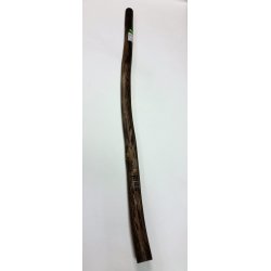 Didgeridoo 2034