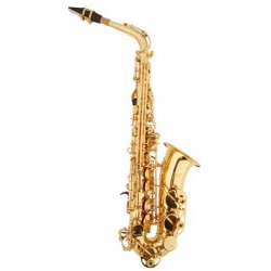 BACIO INSTRUMENTS SA-01L
