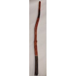 Didgeridoo 2353