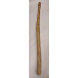 Didgeridoo 2479