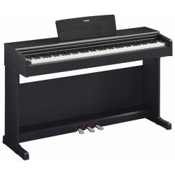 YAMAHA YDP-144 B