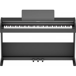 ROLAND RP107-BKX