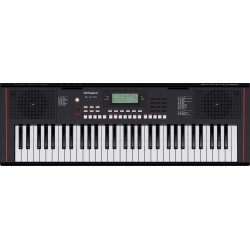 ROLAND E-X10