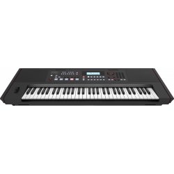 ROLAND E-X50