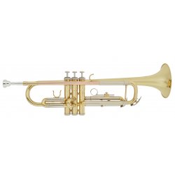 Bacio Instruments BTR-100