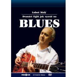 Dvanáct fíglů jak vyzrát na blues (DVD)