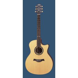 Crafter GAE 698SP/N W/DXB-DG