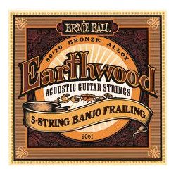 Ernie Ball Banjo 2061