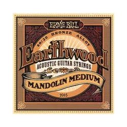 Ernie Ball 2065 mandolína 