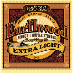 Ernie Ball 2006