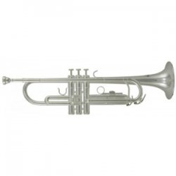 Roy Benson Bb-trumpeta TR-202S