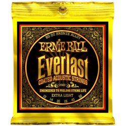 Ernie Ball Everlast 2560