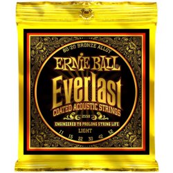 Ernie Ball Everlast 2558