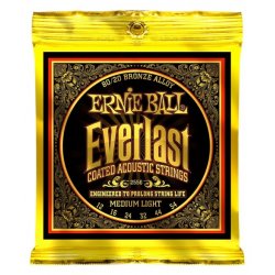 Ernie Ball Everlast 2556