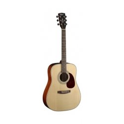 Cort Earth 70 NT