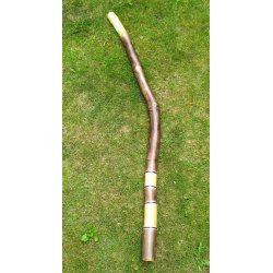 Didgeridoo 1294
