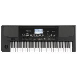 Korg Pa300