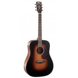 Cort Earth 300VF SB